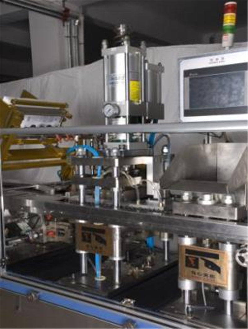Automatic Blister and Labeling Packaging Machine
